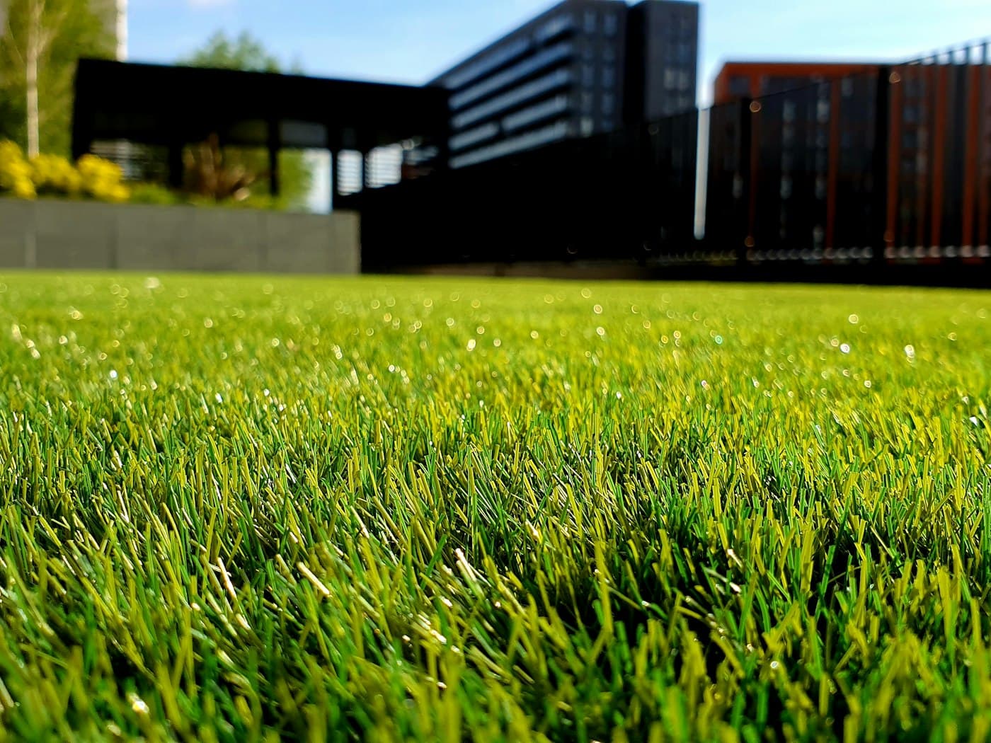 A freshly mowed, striped lawn in Downriver Michigan